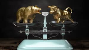 Bull Market Gurus vs. Bear Market Realities: Choosing a Financial Advisor for All Seasons – Tucson Financial Advisors